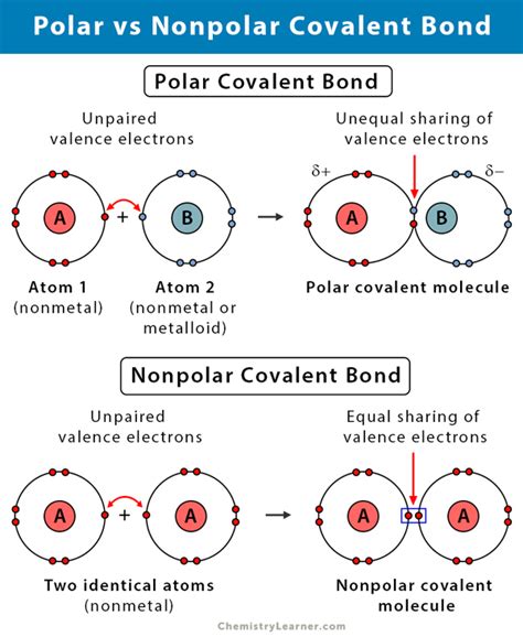 Aug 4, 2022 · In this Short, The Amoeba Sisters take a look at what "polar" and "nonpolar" means in biology when talking about bonds [specifically covalent bonds but this ... 